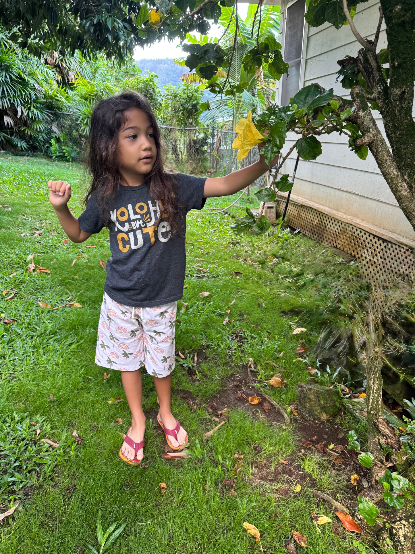 Li‘i Braddah Woven Shorts